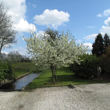 Bed and breakfast The Waverly House